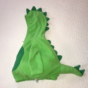Dinosaur or Dragon costume